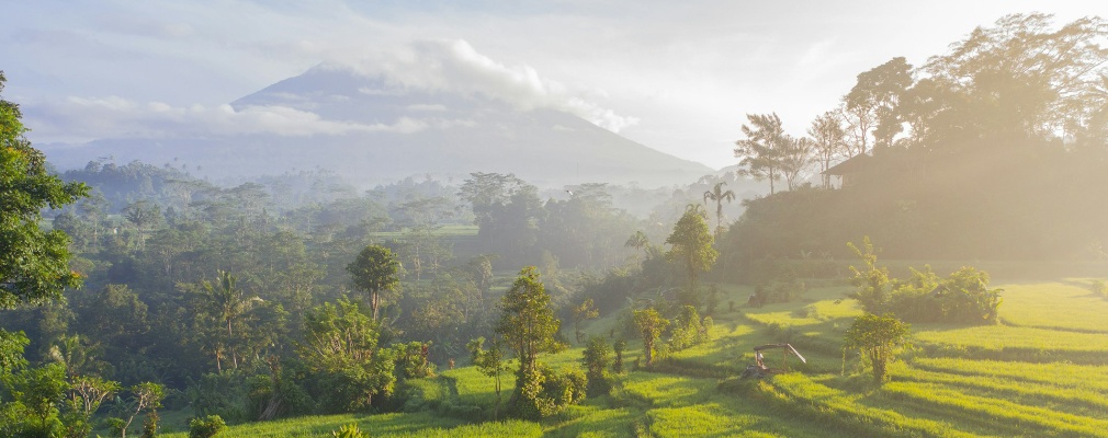 Reisfelder auf Bali mit einem Berg im Hintergrund